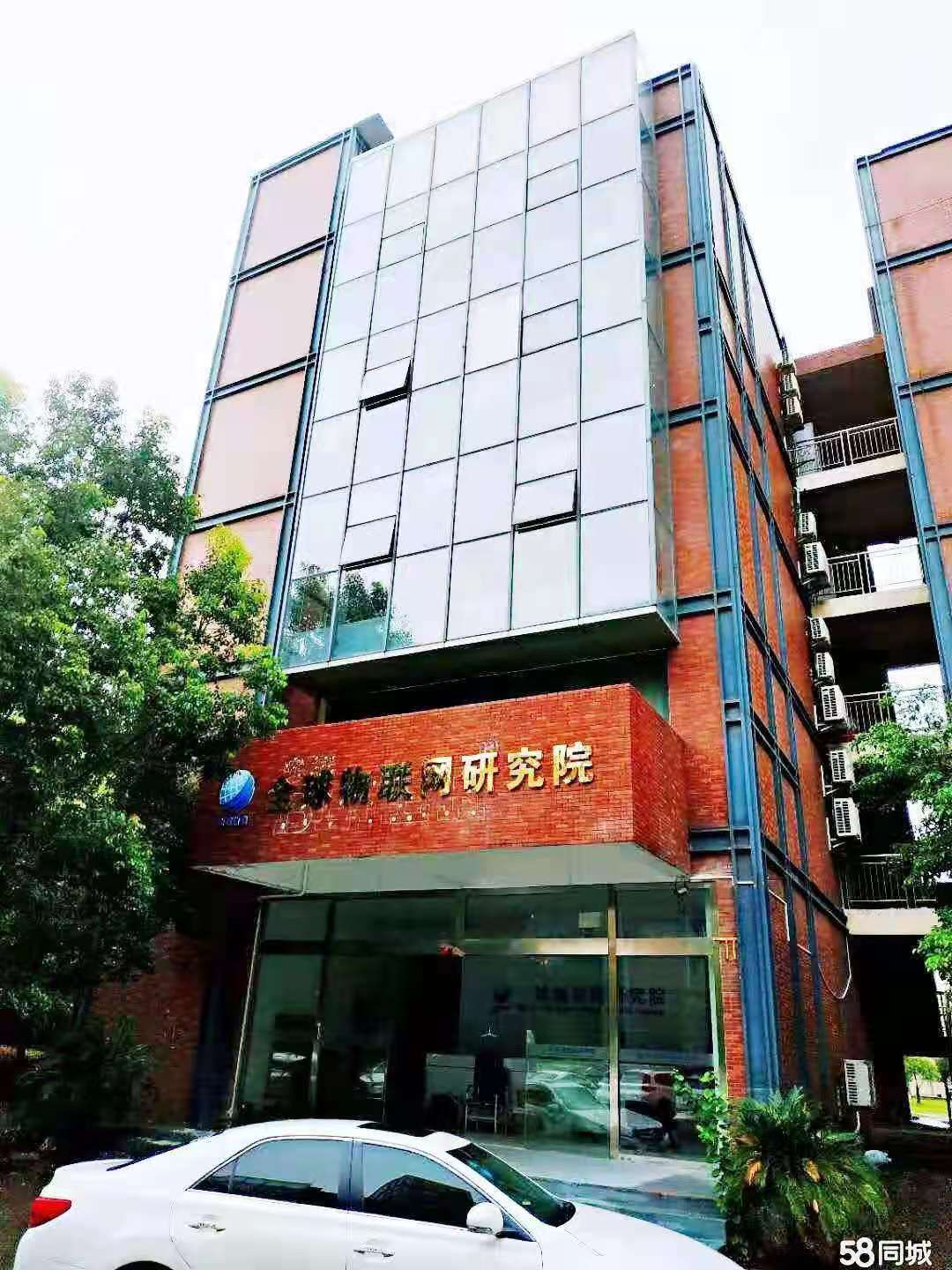 巨龙大道1200平独栋精装办公写字楼房东直租 可租可售