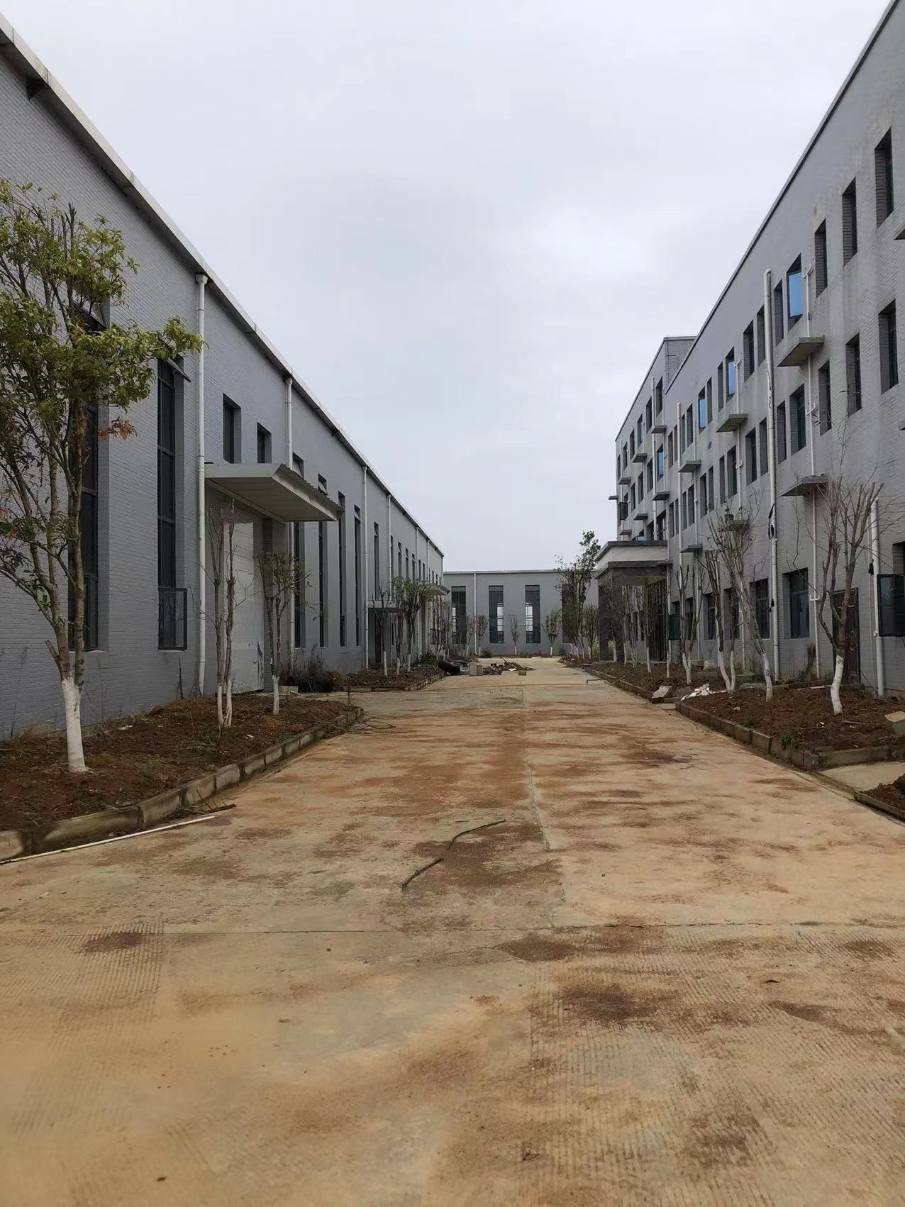 房东直租 红安县经济开发区6500平厂房厂房房东直租 配套齐全