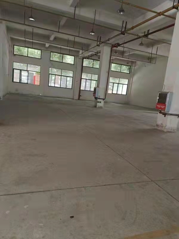 东西湖园区一楼优质厂房仓库配套齐全交通便利