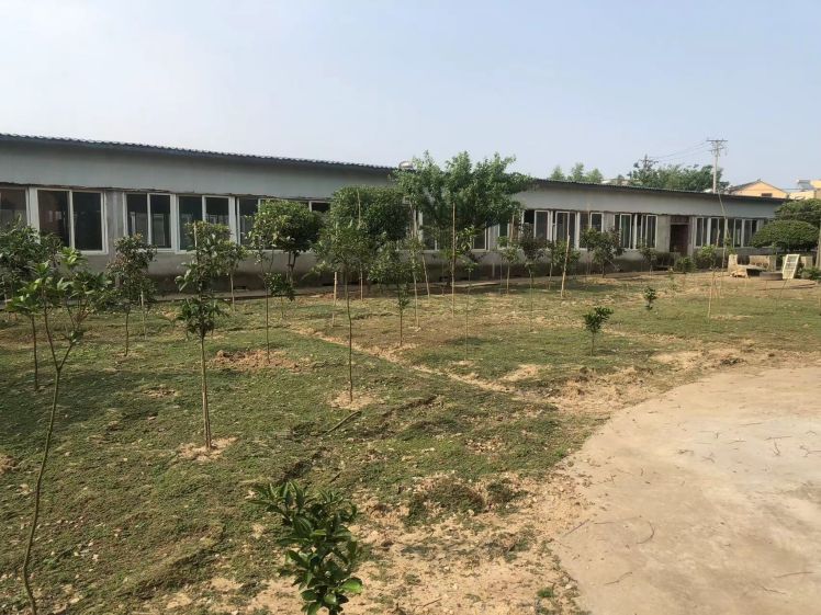 蔡甸上独山村厂房仓库优价出租