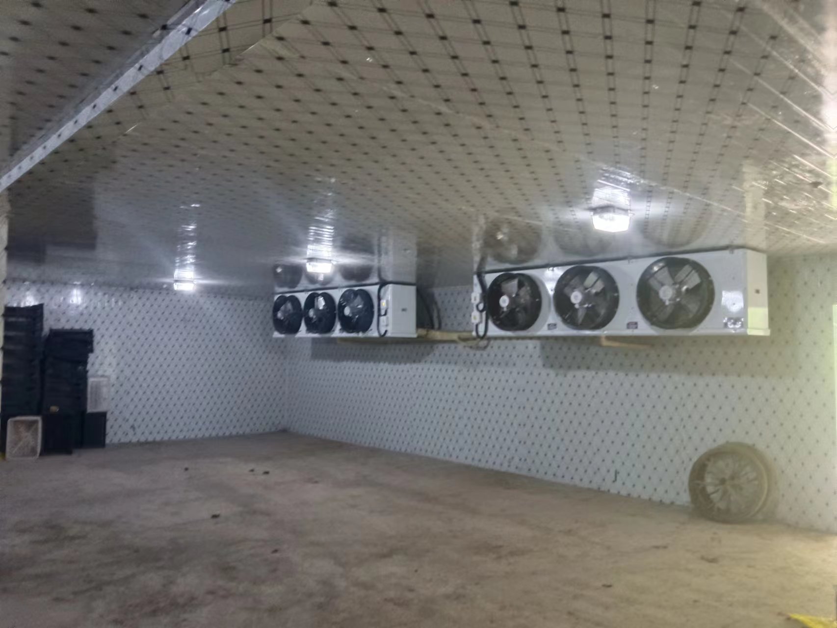 房东直租  江夏区郑店冷库招租