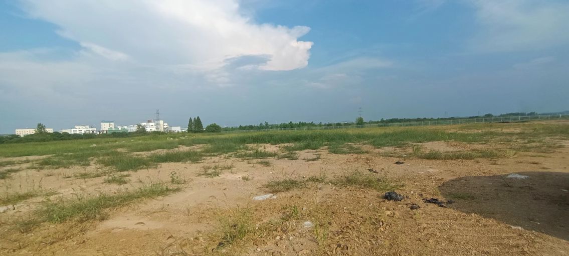 房东直租无中介费青山钢构厂房优价出租