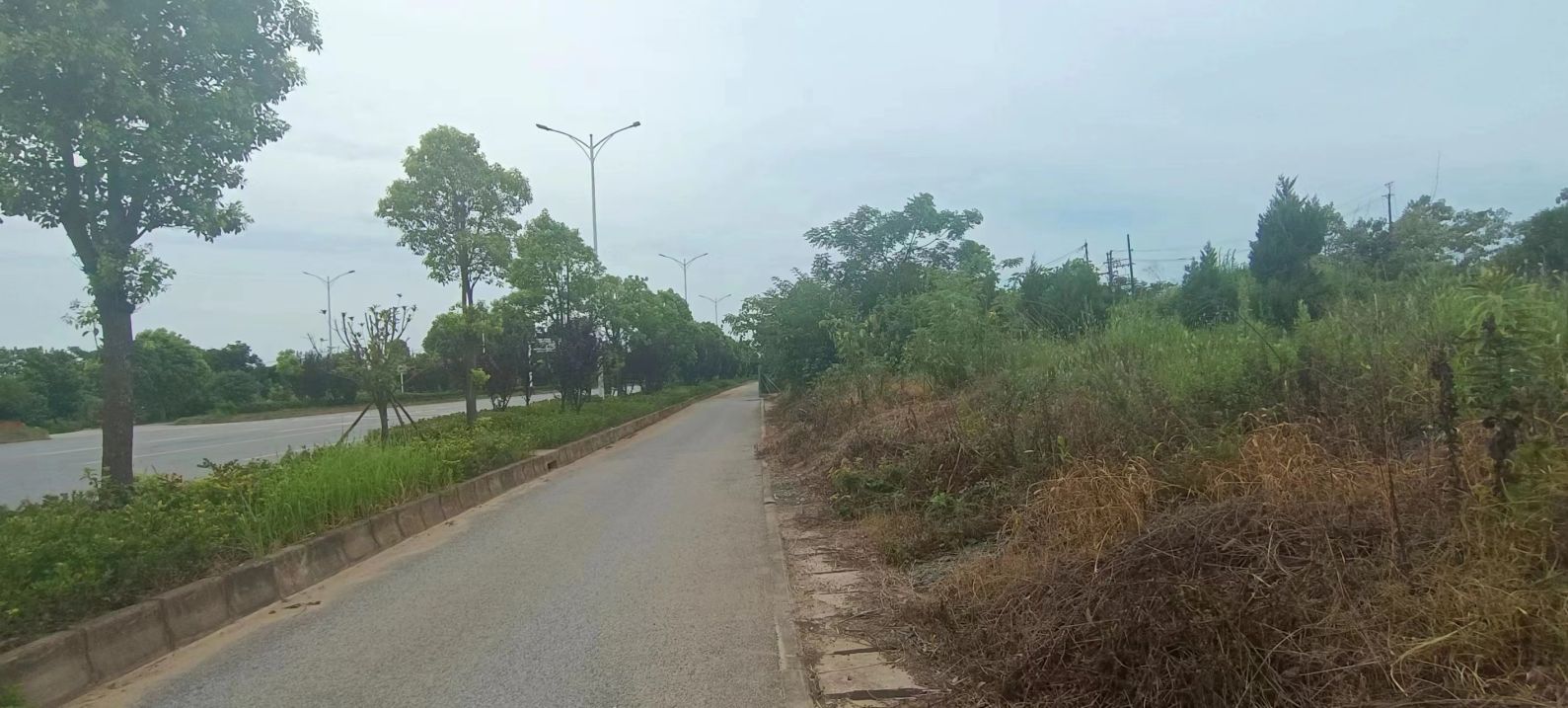 房东优价出租蔡甸大面积平整场地