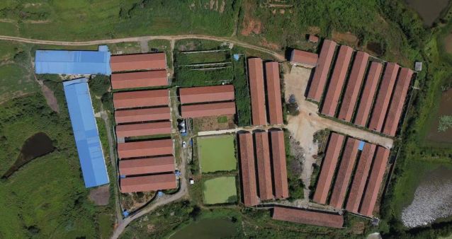 孝感孝南10000平养猪厂 低价急租