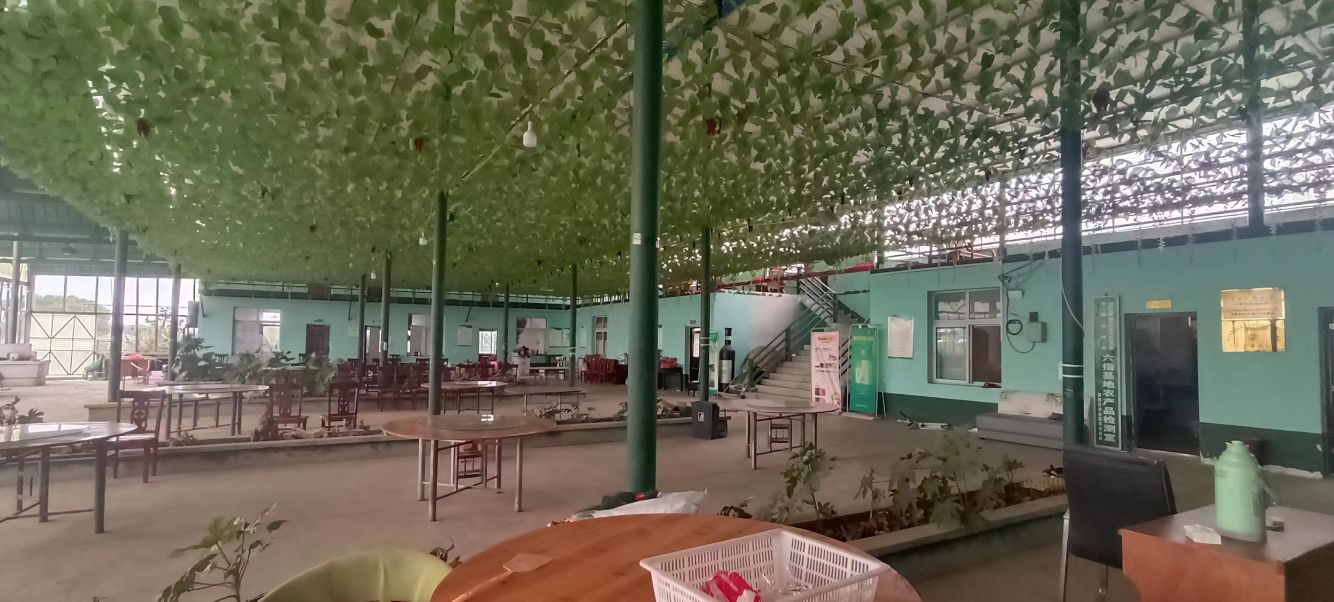 房东直租黄陂钢构厂房优价出租，交通便利，配套齐全