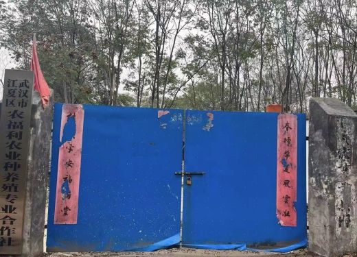 （房东直租）江夏郑店独门独院厂房1100优价出租