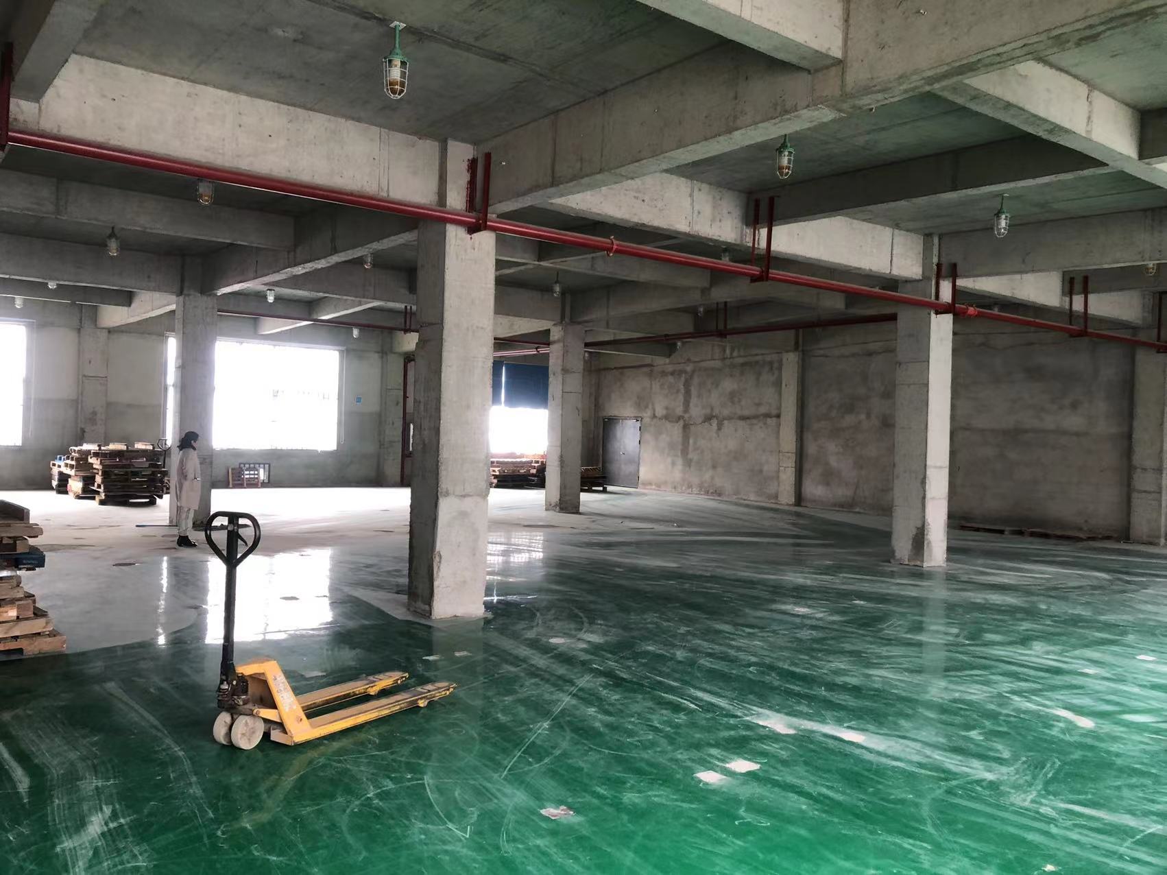 房东直租白沙洲中小企业城700平框架厂房优价出租