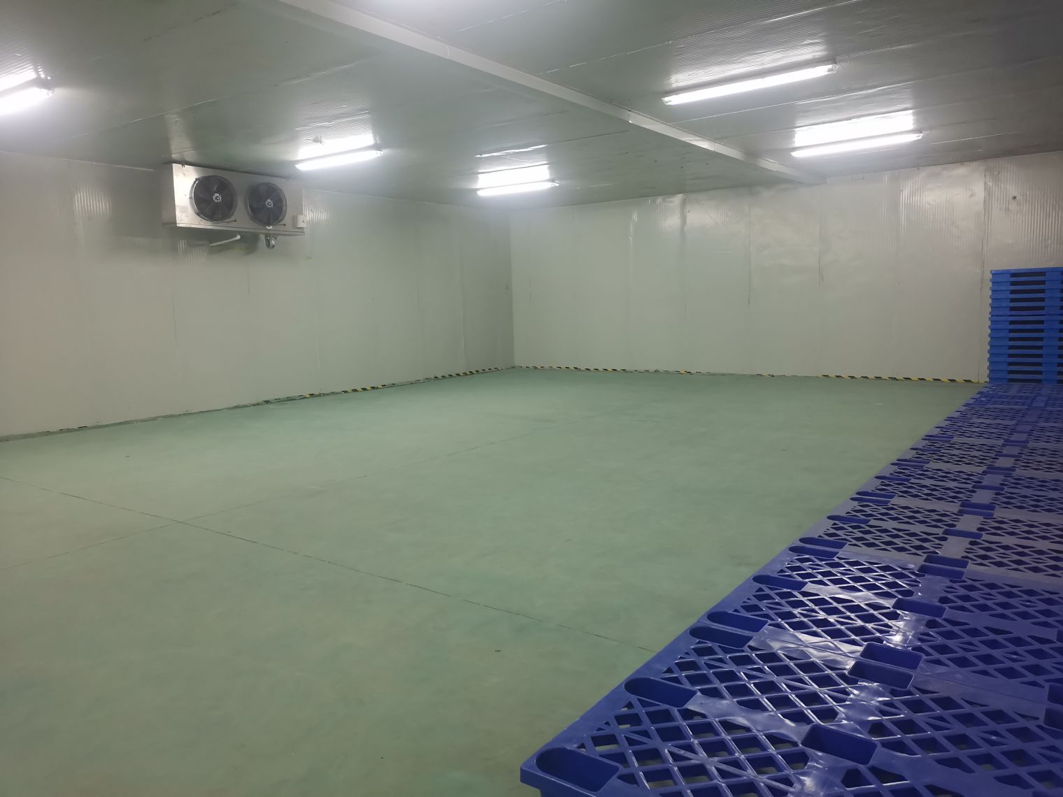 房东直租 江夏光谷三路冷藏常温库500平招租可分租