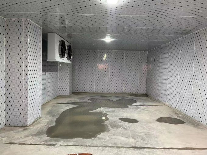 房东直租 白沙洲冷库招租 面积大小可分租