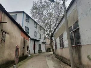 房东直租蔡甸大集街 九康路1200平厂房仓库 可分租