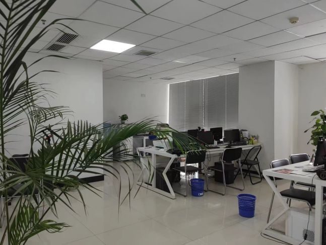 房东直租 关山口5A甲级精装写字楼低价出租