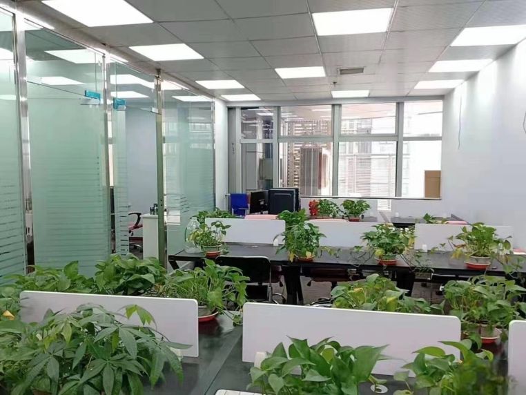 房东直租 光谷世界城广场精装写字楼 配套齐全拎包办公