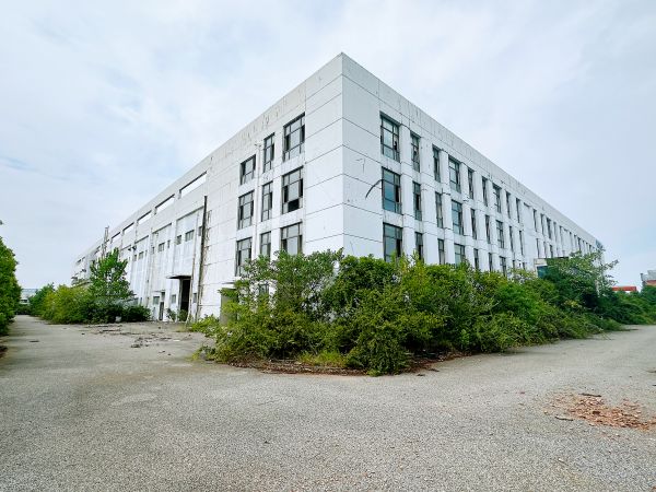 房东直租 阳逻标准工业园框架厂房 独门独院 配套齐全