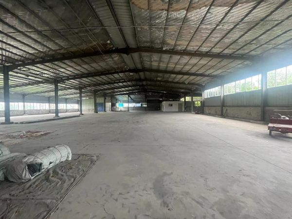 鄂州市葛店开发区2000平厂房无行业限制房东直租交通便利