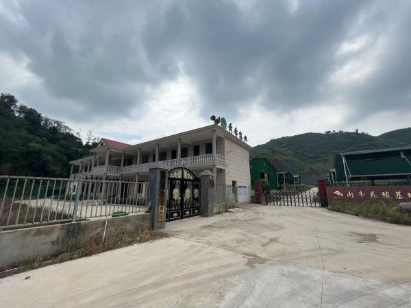 房东直租黄石阳新钢构厂房1600平优价出租、养殖场合作经营