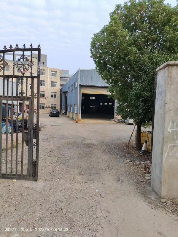 房东直租黄陂横店钢结构 独门独院900平厂房 低价出租