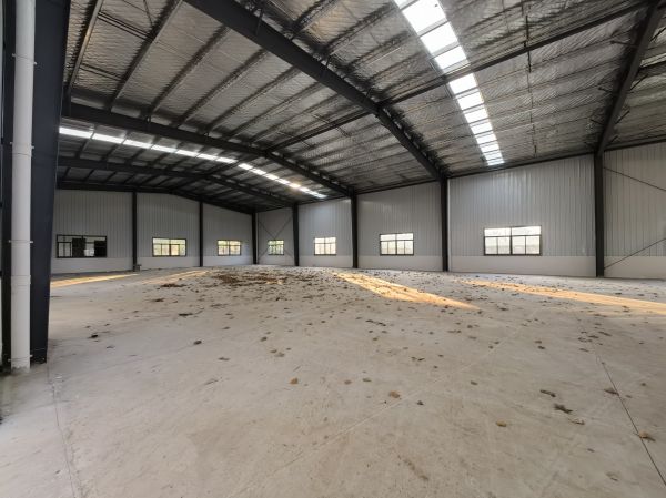 房东直租 新洲840平 独门独院钢构厂房 优价出租