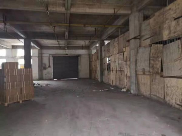 房东直租东西湖正同产业园厂房500 平，优价出租