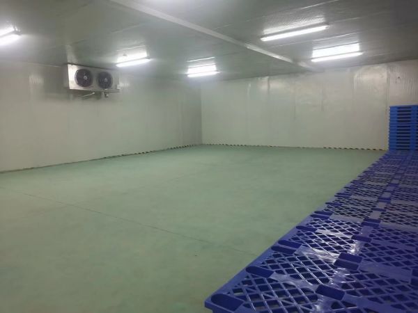 房东直租 江夏光谷三路冷藏常温库500平招租可分租