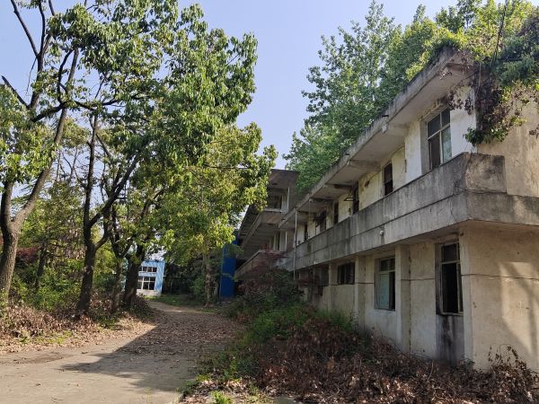 房东直租青山独门独院钢构厂房优价出租