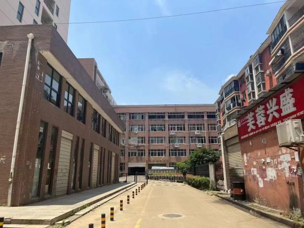 房东直租黄陂盘龙城标准框架厂房配套齐全优价出租