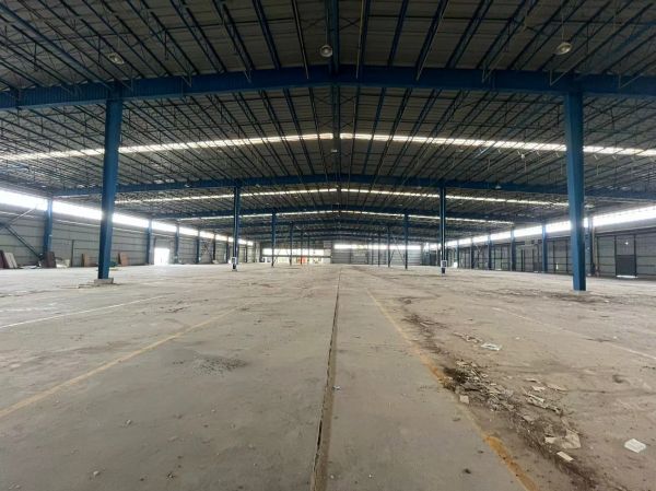 房东直租青山标准高台库厂房仓库配套齐全优价出租