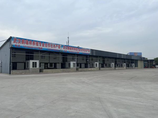 房东直租黄陂汉口北大道临街旺铺，优价出租价格面议