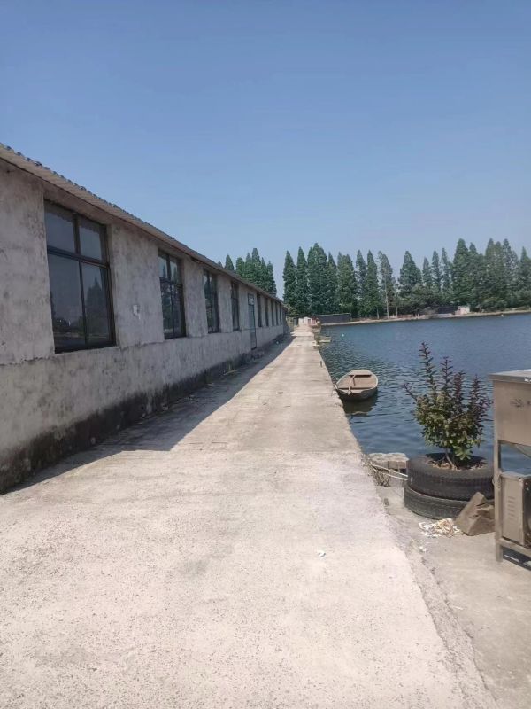 房东直租东西湖600平独门独户厂房仓库，低价招租