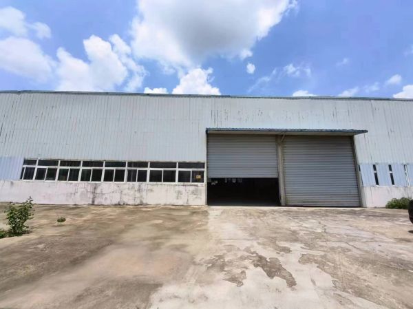 （房东直租）星谷大道双柳中路标准钢结构厂房出租